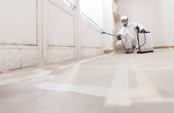 24/7 Emergency Mold Remediation experts in Arrington, TN