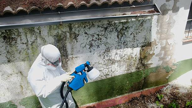 Top rated local Mold Remediation specialists in Arrington, TN